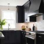 Pro Tips to Make Black Kitchens Shine